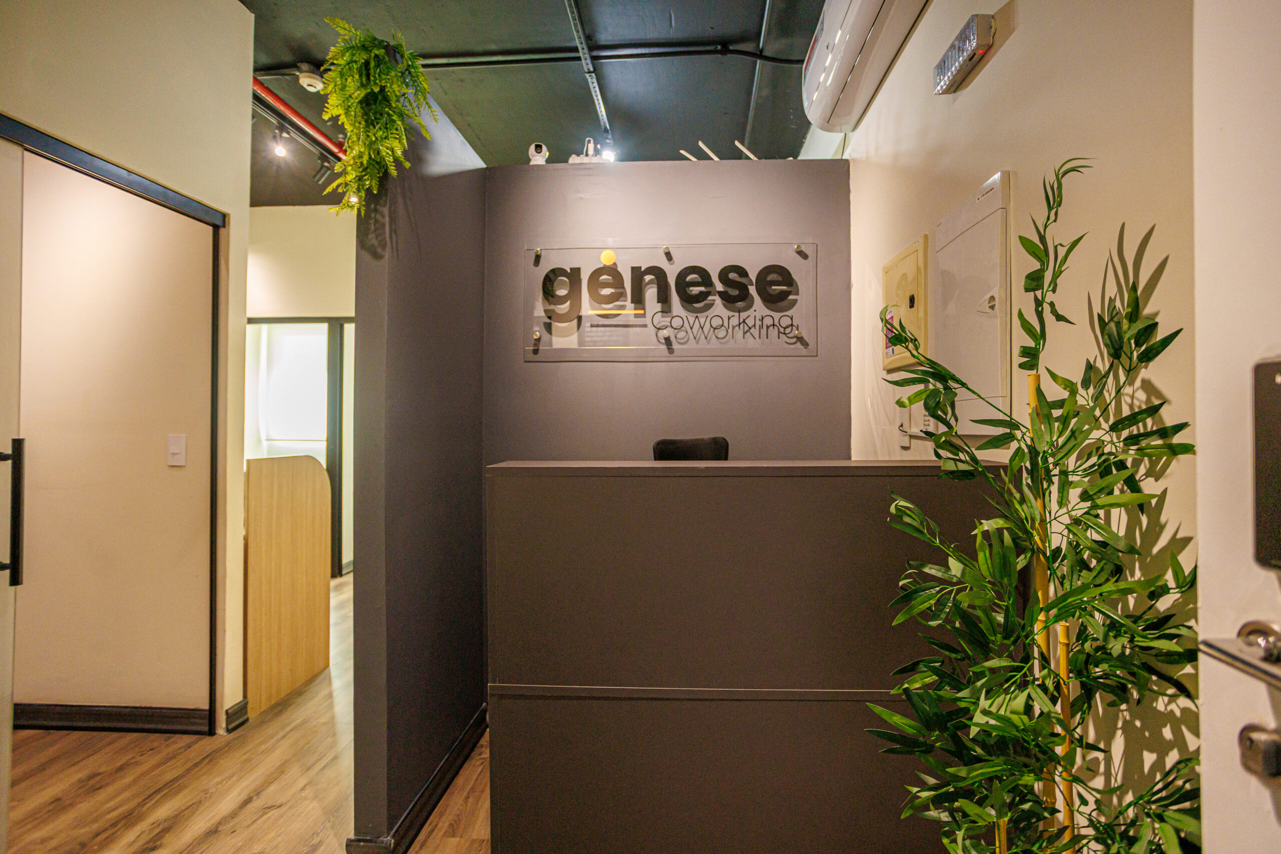 genese-1
